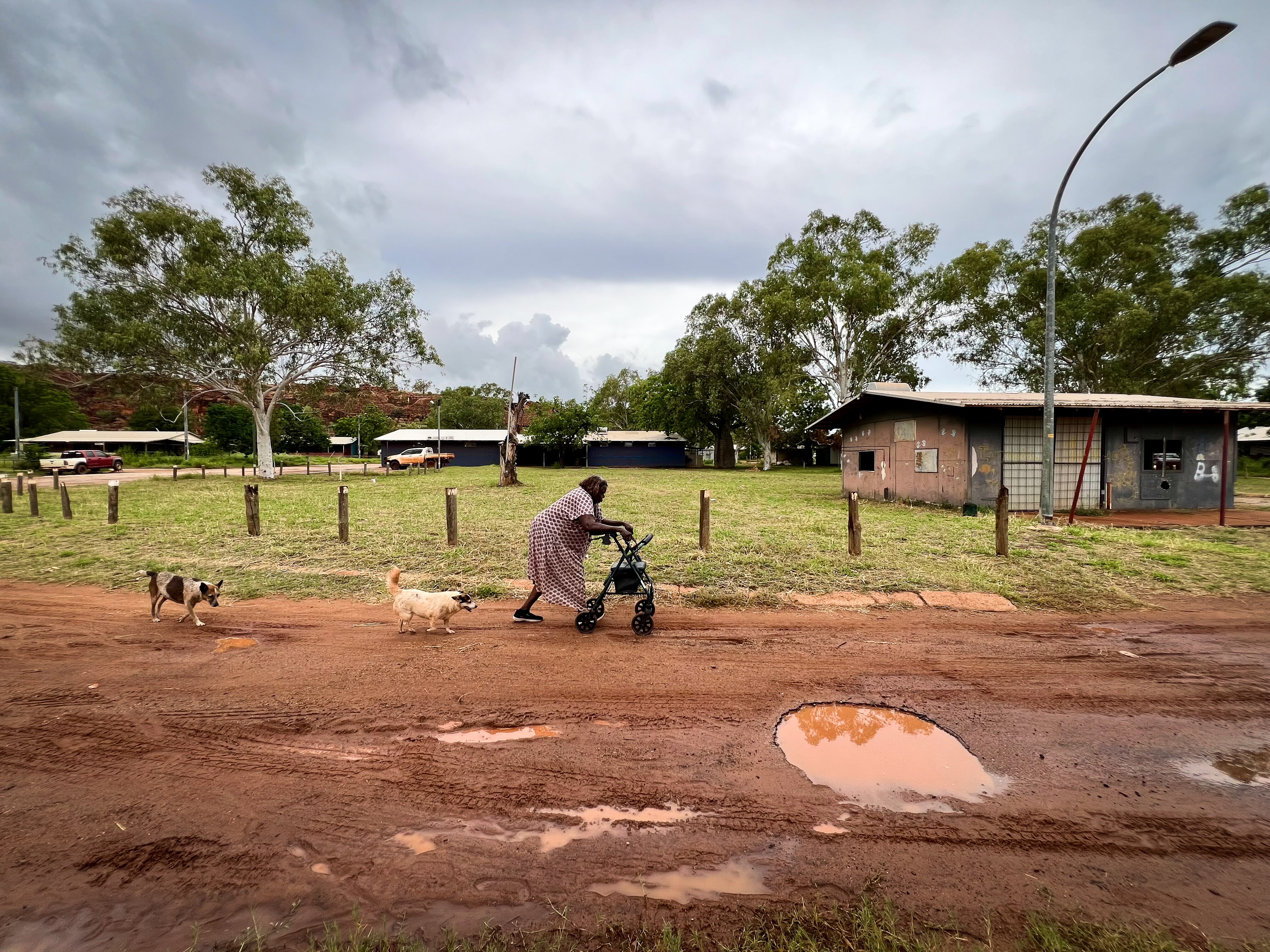 An older woman using a mobility aid walks down dirt path around muddy puddles, two dogs following her