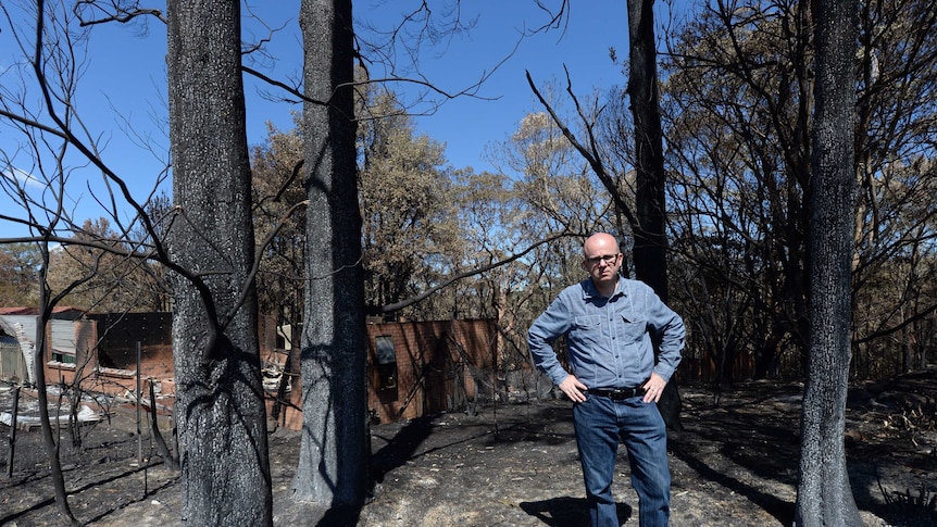 Blue Mountains Mayor Mark Greenhill.