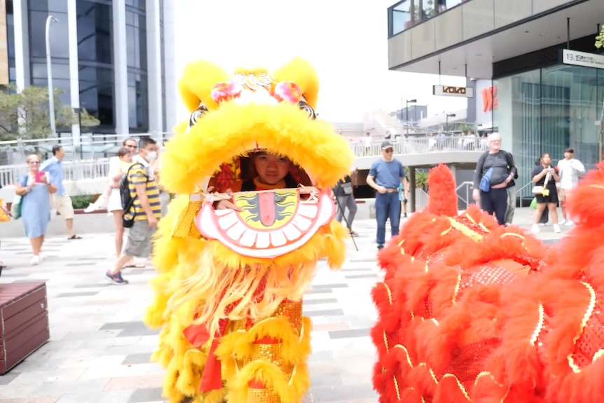 Two lion dancers in costume in a town square