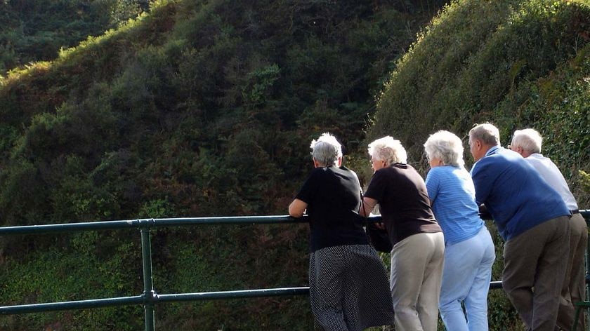A group of elderly people lean on a railing