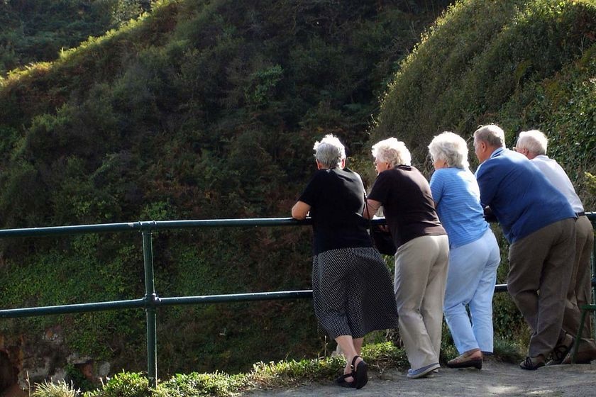 A group of elderly people lean on a railing