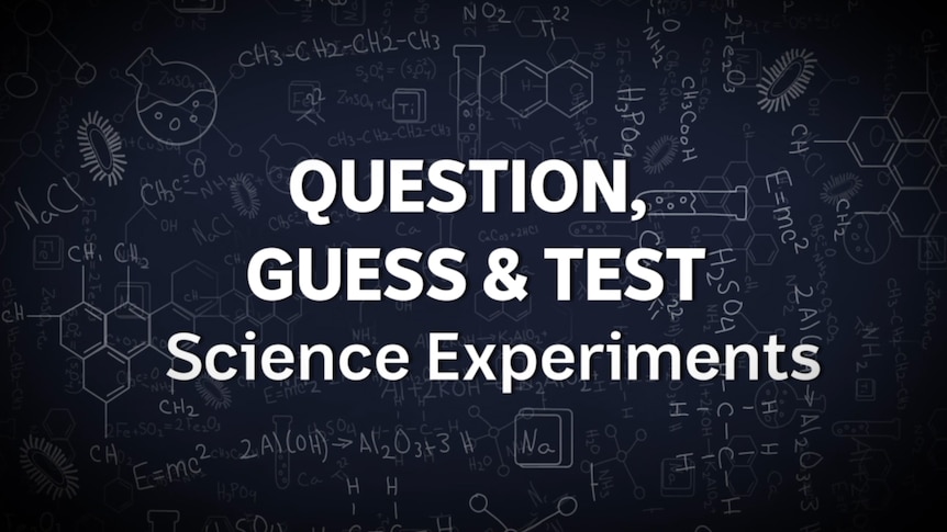Text on screen "Question, Guess and Test: Science Experiments"