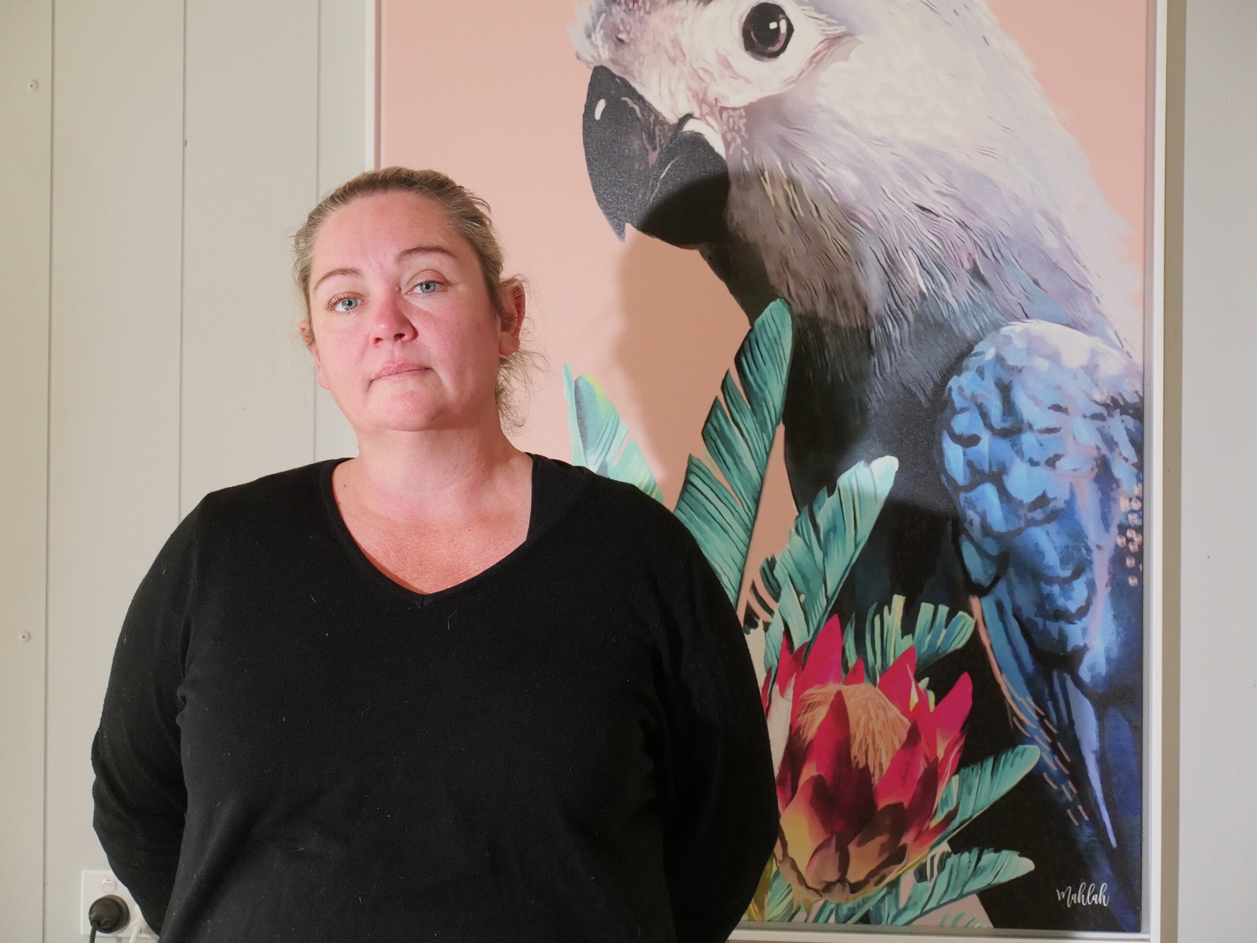 Domestic violence services plead for more help to save rural women from ...