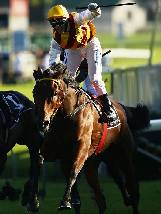 Shock death: Stathi Katsidis was due to ride Shoot Out in Saturday's Cox Plate.