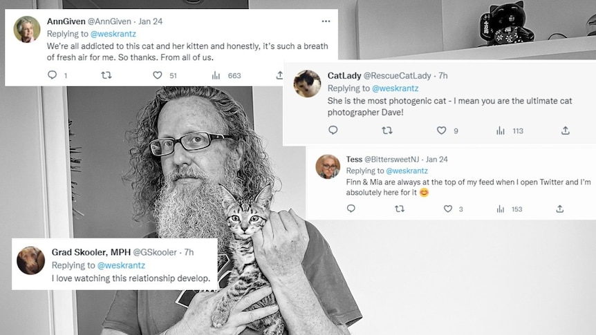 Man holding cat in house surrounded by tweets.