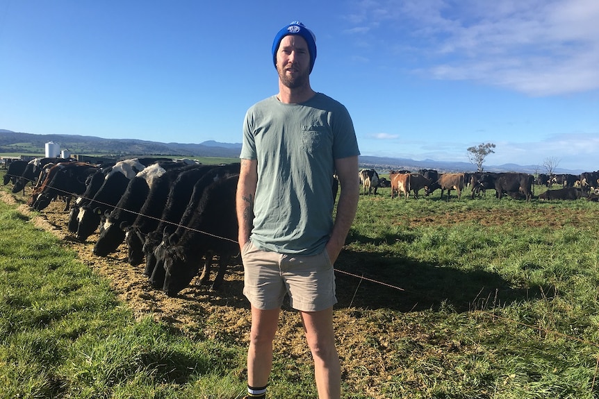 A dairy farmer stands out in the field with his cows.