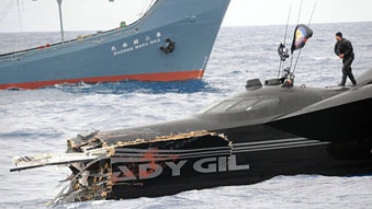 Damaged: the Sea Shepherd's Ady Gil (Sea Shepherd: Joanne McArthur)