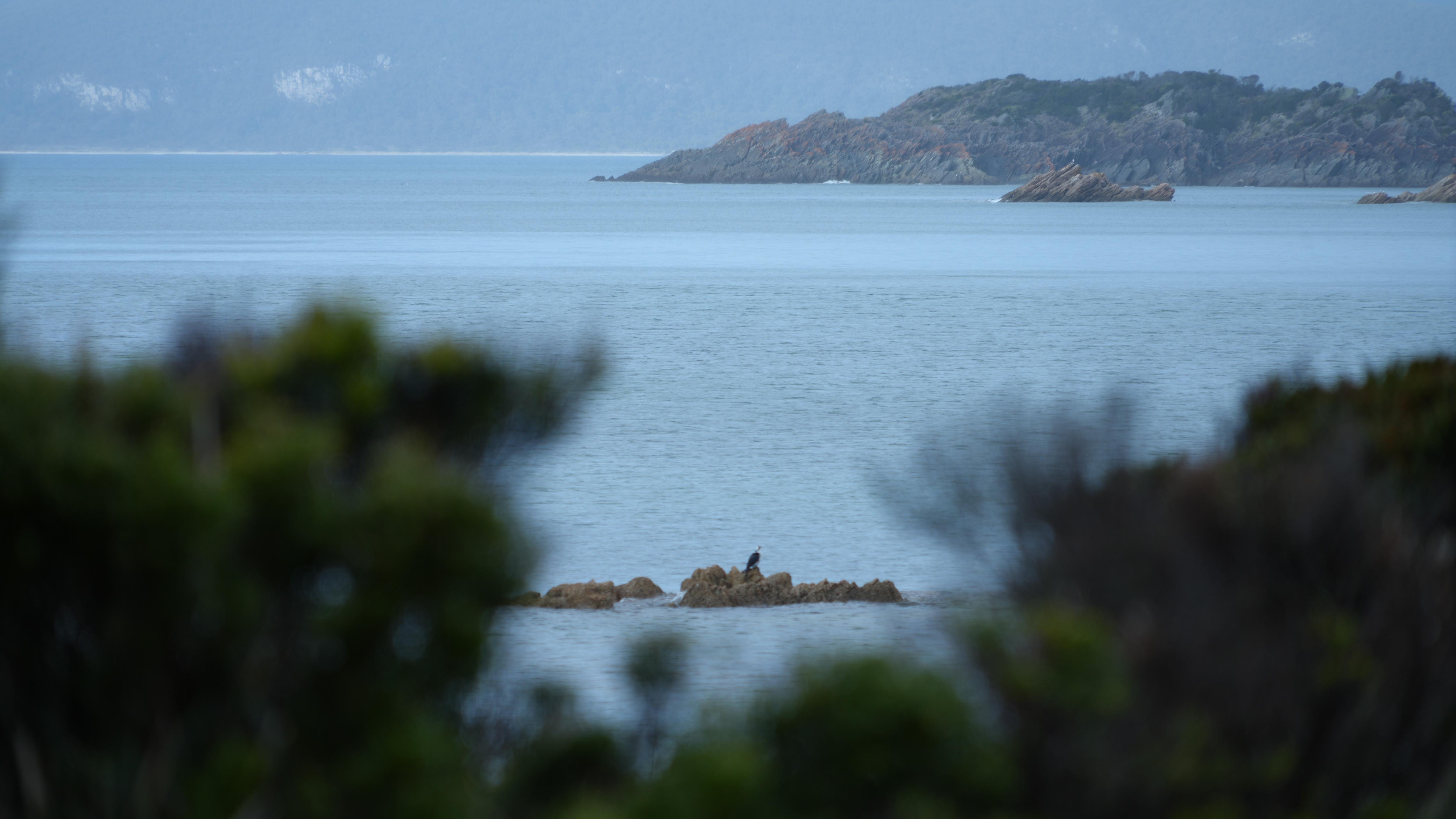 A bird sits on a rocky outcropping on the water's edge.