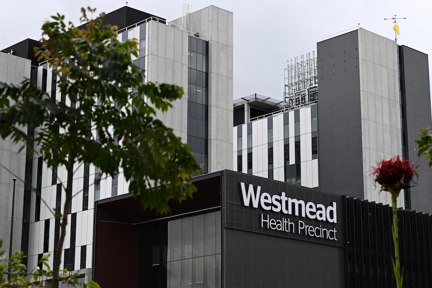 A general view of Westmead Hospital in Sydney,