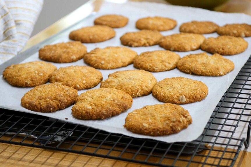 Anzac biscuits laid out on a baking tray.