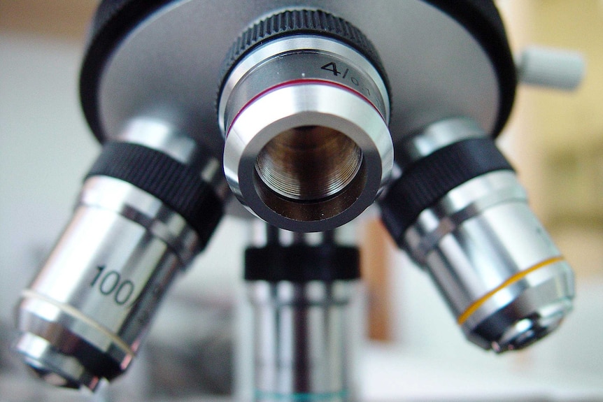 Close up of the lenses of a microscope in a laboratory.