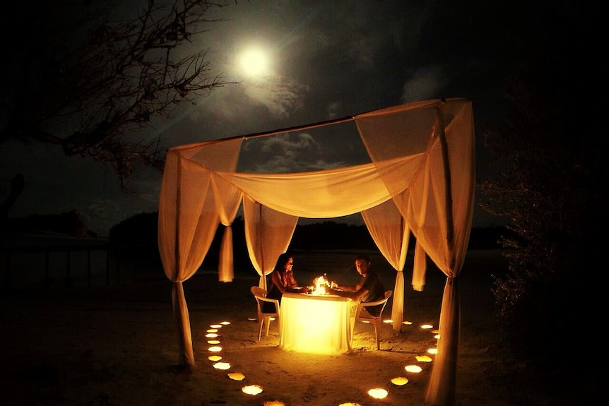 Couple having a romantic dinner under a canopy