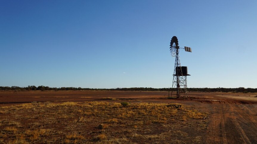 A solitary windmill