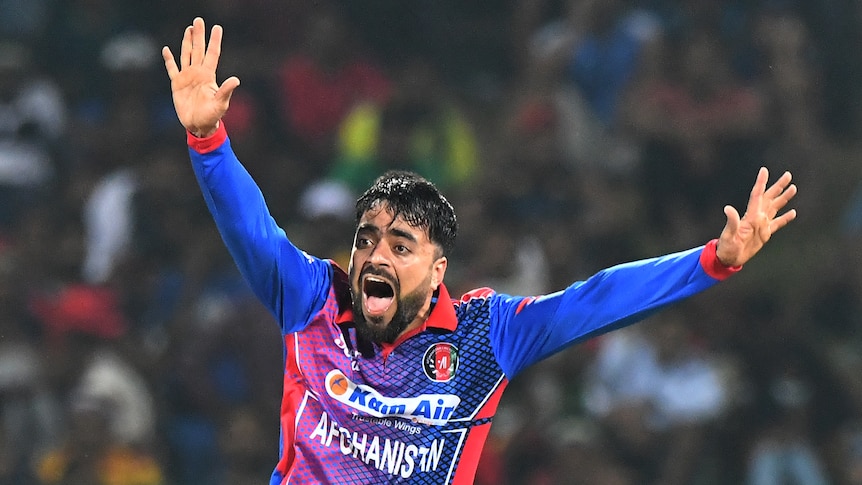Rashid Khan appeals with his arms up and outstretched