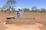 Farmer Luke Chaplain tips his hat full of water on his head from a water trough at Cloncurry.