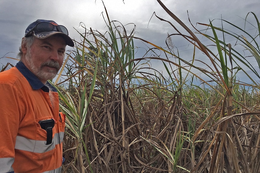 Peter Hackett stand beside his lodged cane.