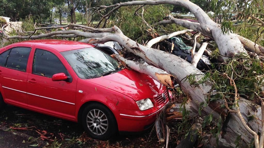 Car under fallen tree after Brisbane storm