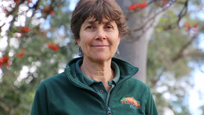 A mid-shot of Perth zookeeper Lesley Shaw standing outdoors in front of trees wearing a green jumper.