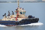 A tugboat in Sydney Harbour before the strike started at midday