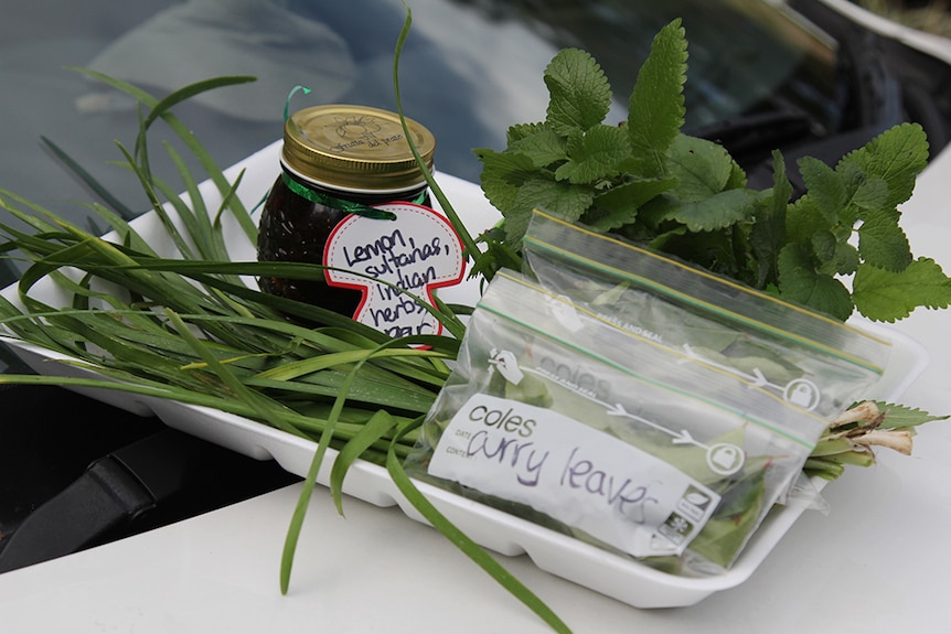 Chicken relish and fresh herbs packaged up for market on a white tray resting on the hood of a white car.