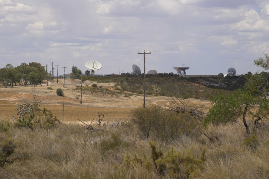 Satellite dishes sit behind a bush area.