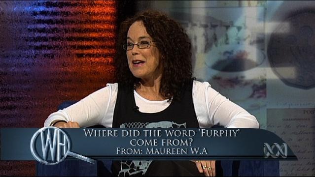 Presenters sit on set, text overlay reads "Where did the word 'Furfy' come from?"