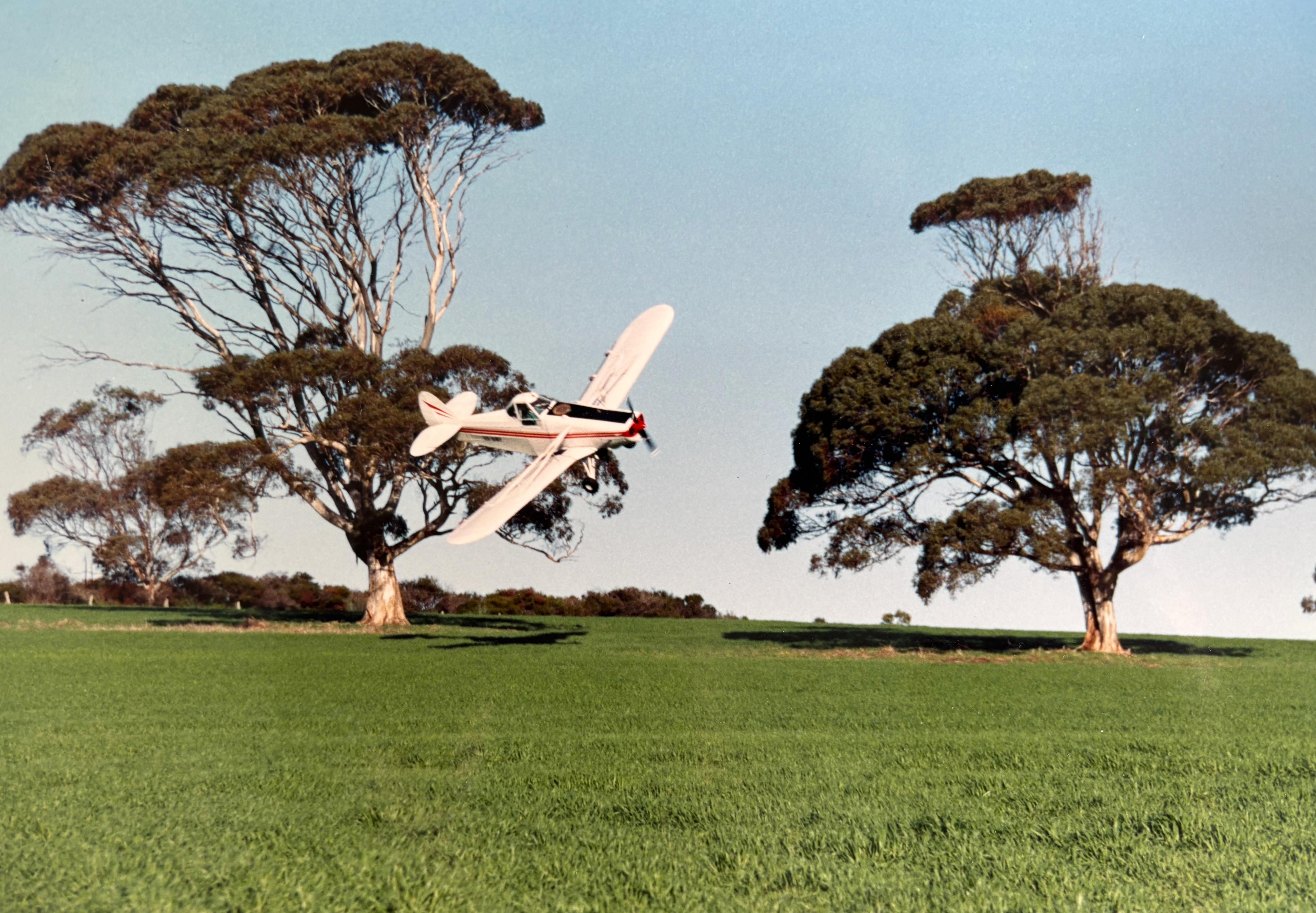Plane flying very low over green crop with trees in background.