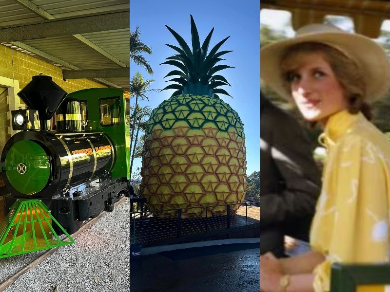 Big Pineapple shining bright as state's big thing is back on show