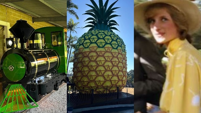 Three side-by-side images, from left, an historic theme park train, Big Pineapple, and a photo of Princess Diana on train