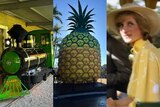 Three side-by-side images, from left, an historic theme park train, Big Pineapple, and a photo of Princess Diana on train