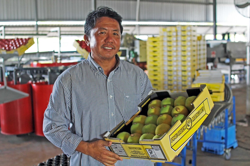 a man holding a box of mangoes