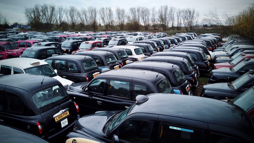 A row of empty London black cabs sit in a field.