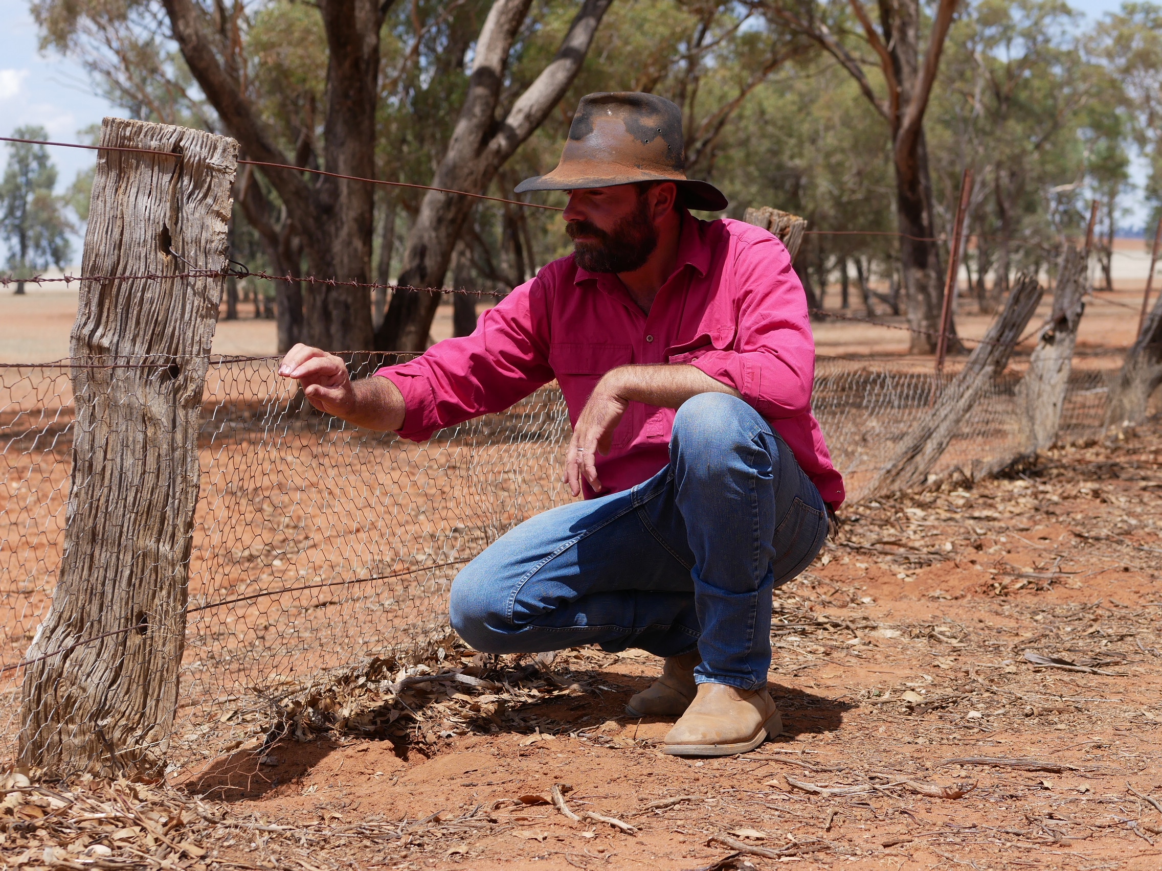 Farmer Peter O'Brien is looking out over his property near his fence 