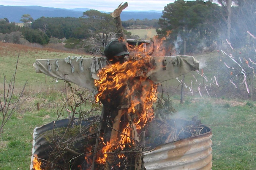The "wicker man" is burnt as part of the "fun" Wassail ceremony