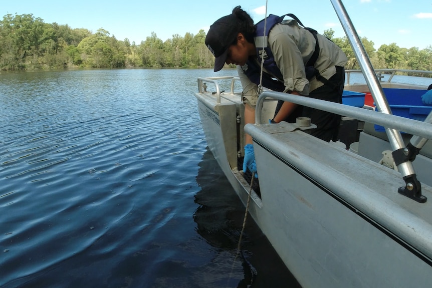 Woman in a boat collected a sample from a river.