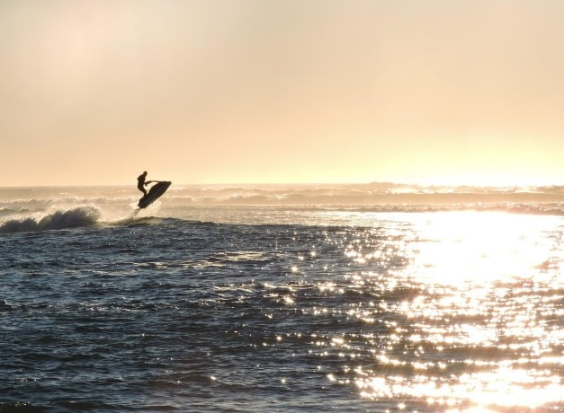 Can jet skis co-exist with marine life?