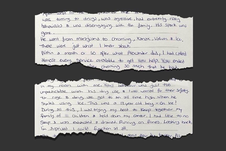 An excerpt of Sue's handwritten victim impact statement.