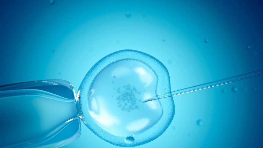 Computer illustration of In vitro fertilisation.
