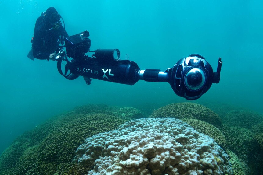 A scuba diver holds a camera while swimming over reefs