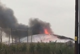 A still from a video posted to Twitter showing a black plume of smoke and flames coming from a dome shaped building at the zoo.