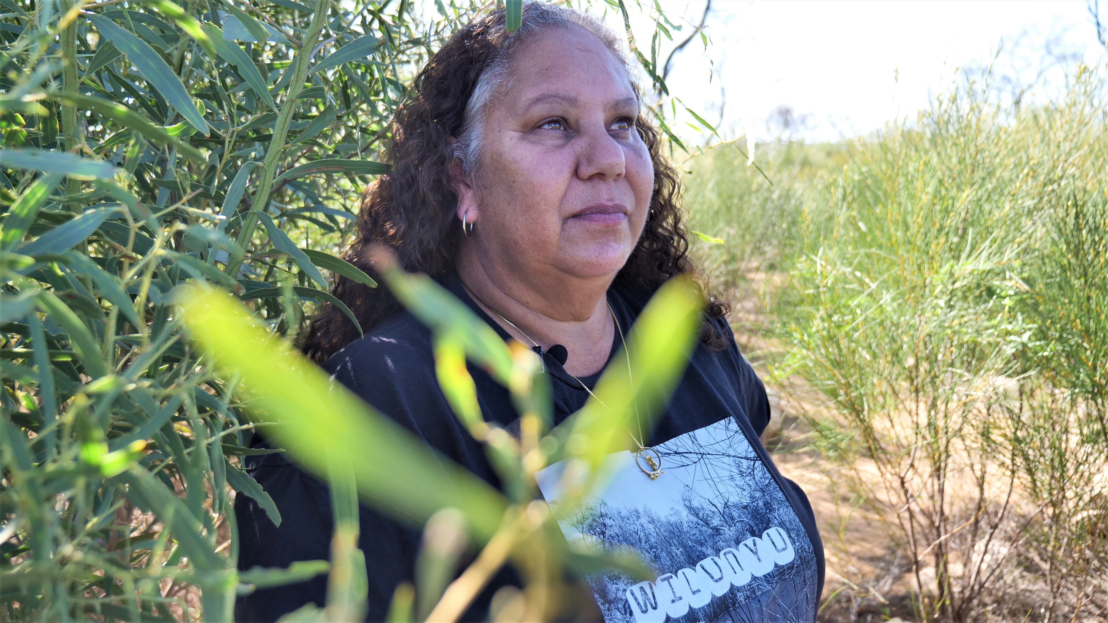 Aboriginal woman looking at the sky with greenery in the foreground
