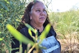 A middle-aged Indigenous woman with long hair, standing in bushland.