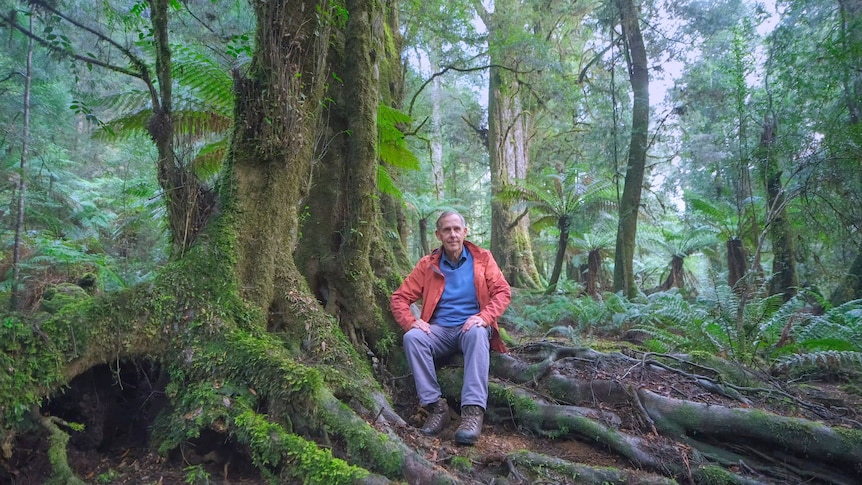 Bob Brown in the Styx forest in Tasmania