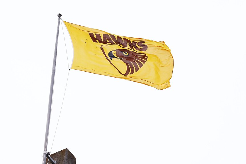A brown and gold flag carrying the Hawks' logo flies