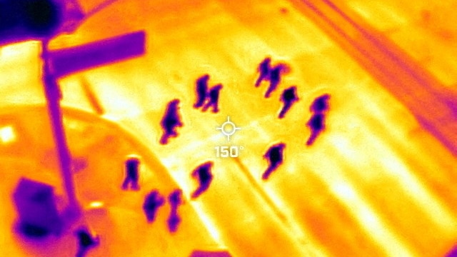 A Flir One ProThermal camera registered a surface temperature of 65C on the road, more than double the air temperature.