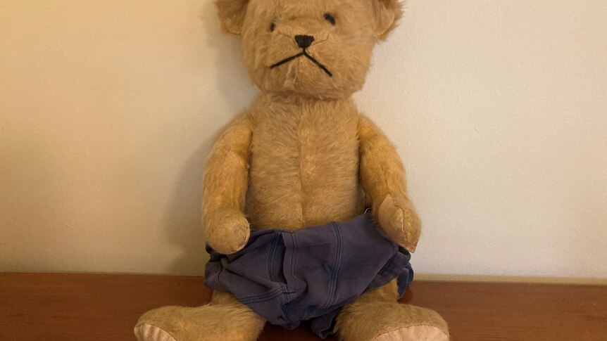 A teddy bear wearing a pair of men's underpants