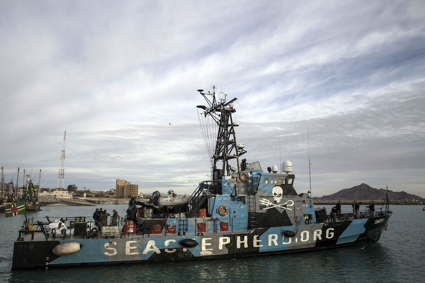 A  Sea Shepherd ship.