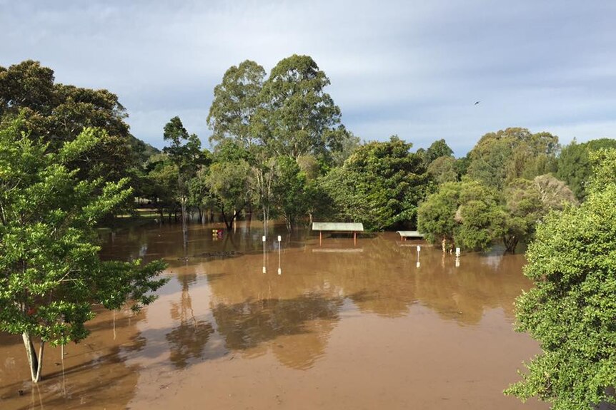Flooded park at Lismore