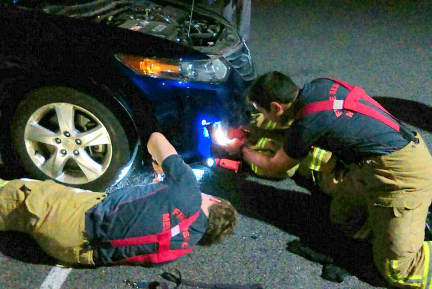 MFB officers work to rescue trapped cat