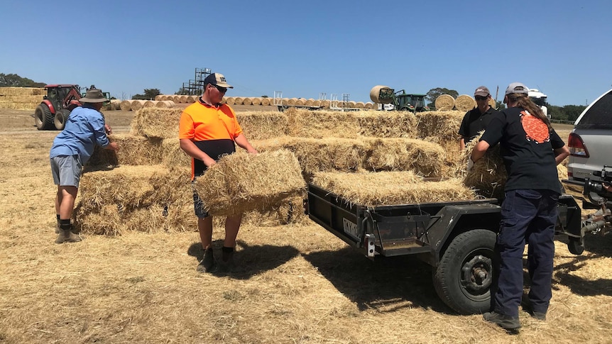 Four people pick up and place bales of hay in a black trailer
